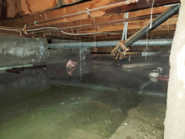 Trusted NM Water damage restoration Experts