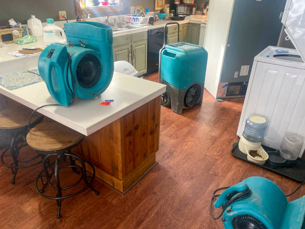 Best Flooded house restoration  in Dexter, NM