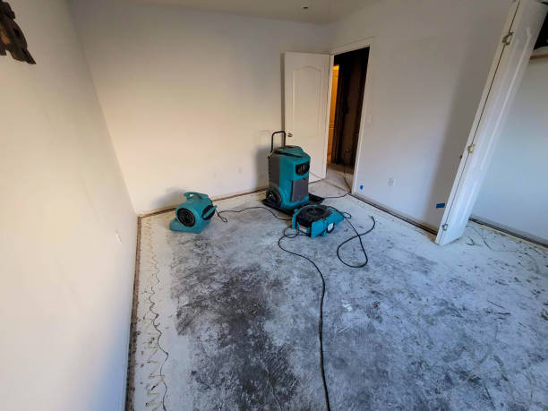 , NM Water damage restoration Company