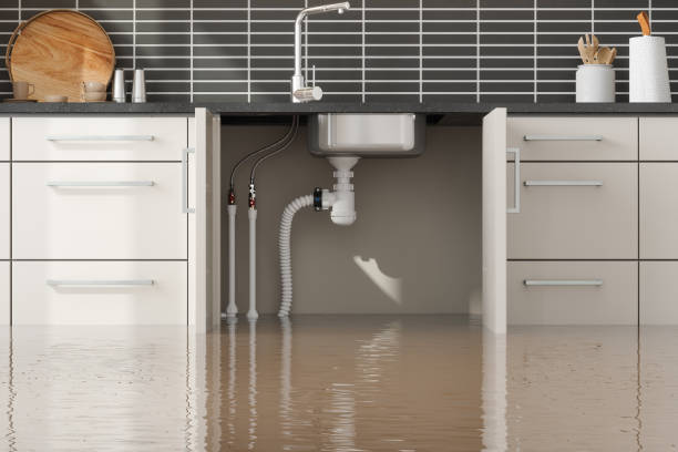 Best Flood restoration services  in Dexter, NM