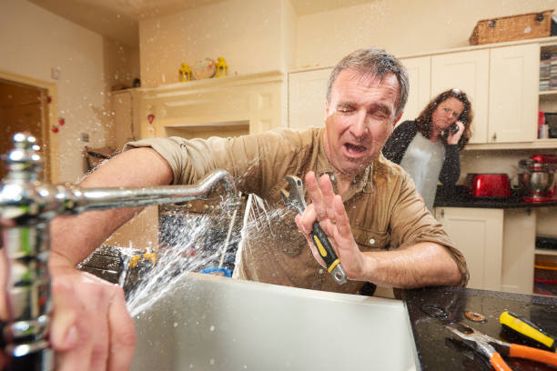 Best Mold removal after water damage  in Dexter, NM